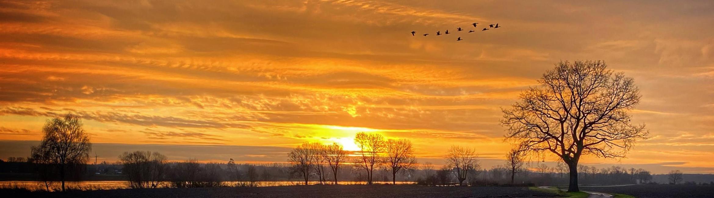 Horst aan de Maas.jpg
